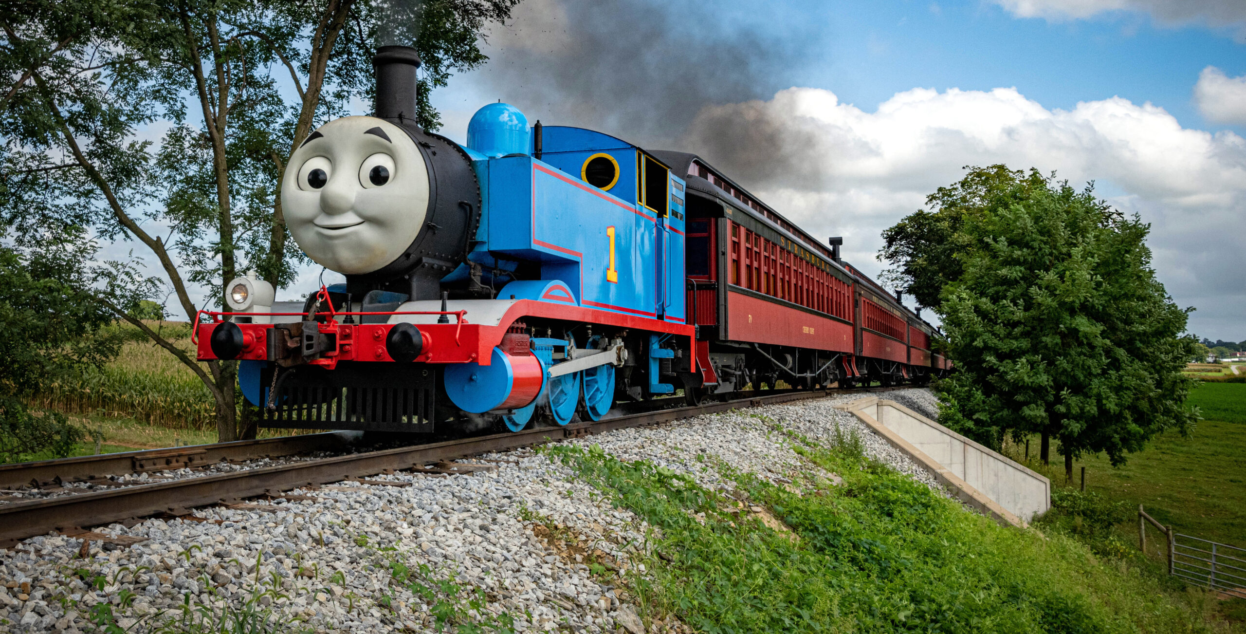 Store Thomas the tank cars and track