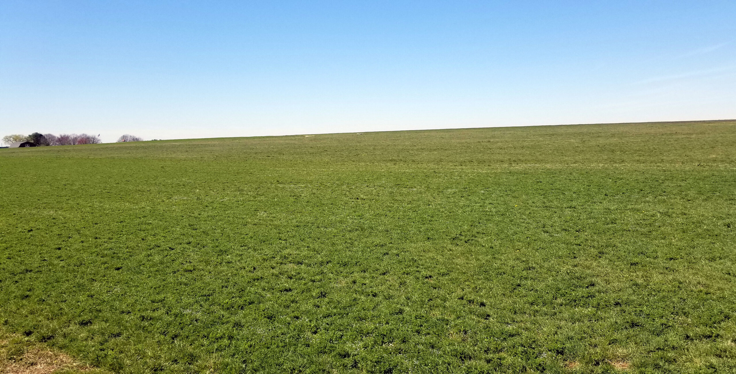 A large green field where the fictional battle performances will take place.